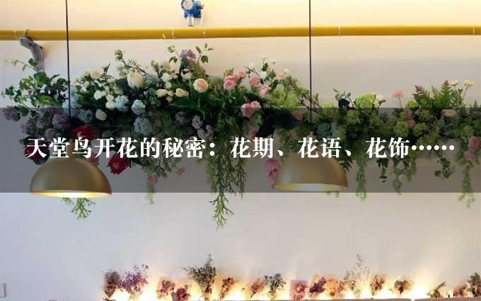 天堂鸟开花的秘密：花期、花语、花饰……