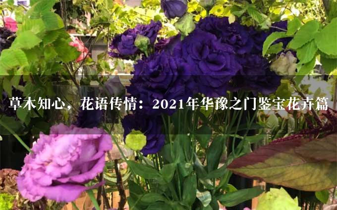 草木知心，花语传情：2021年华豫之门鉴宝花卉篇