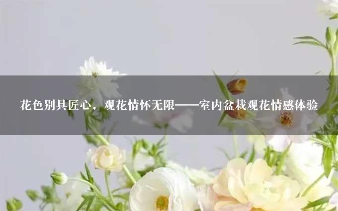 花色别具匠心，观花情怀无限——室内盆栽观花情感体验