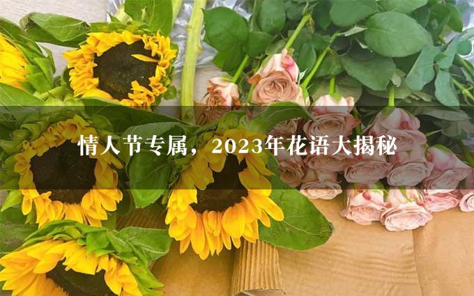 情人节专属，2023年花语大揭秘