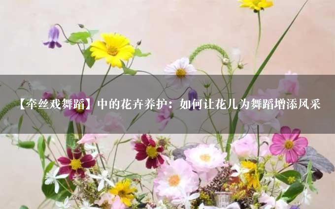 【牵丝戏舞蹈】中的花卉养护：如何让花儿为舞蹈增添风采