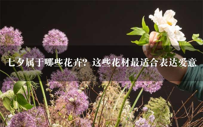 七夕属于哪些花卉？这些花材最适合表达爱意