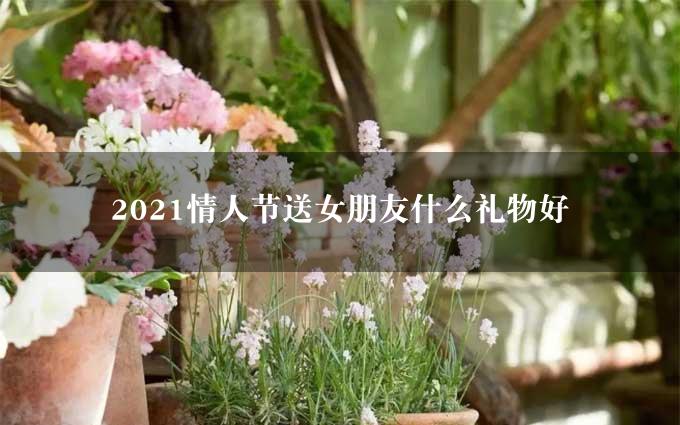 2021情人节送女朋友什么礼物好