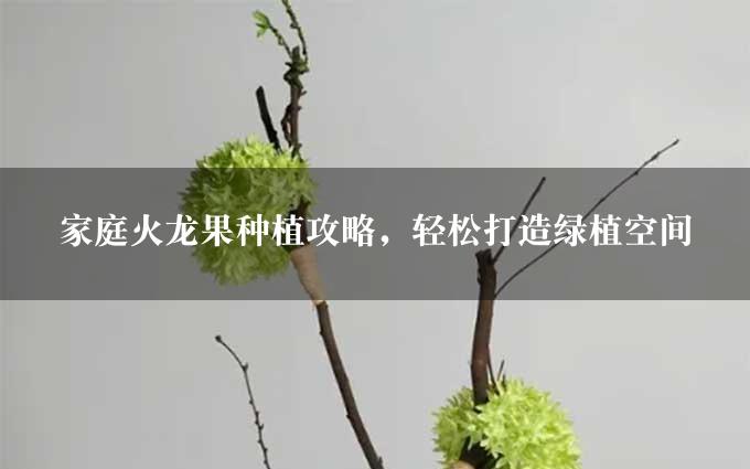 家庭火龙果种植攻略，轻松打造绿植空间