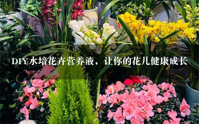 DIY水培花卉营养液，让你的花儿健康成长