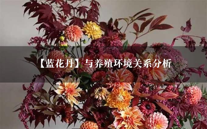 【蓝花丹】与养殖环境关系分析