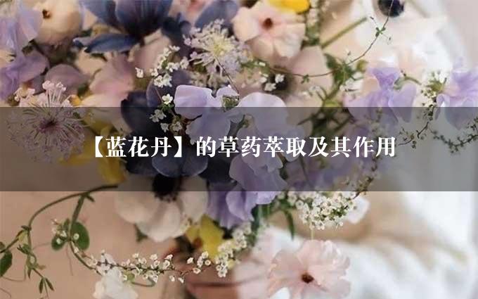 【蓝花丹】的草药萃取及其作用