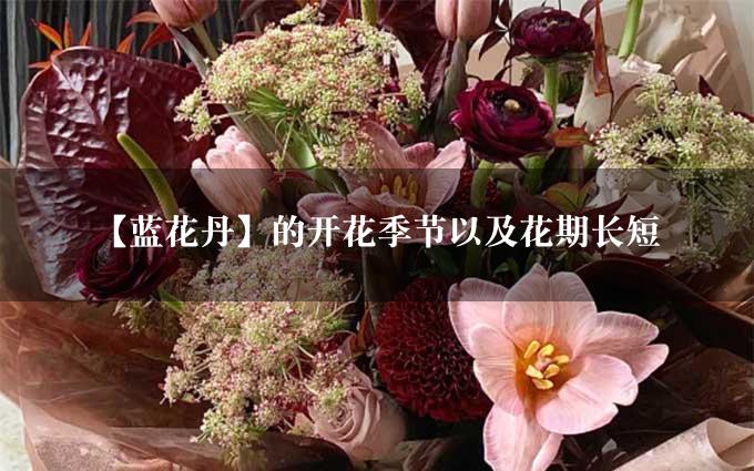 【蓝花丹】的开花季节以及花期长短