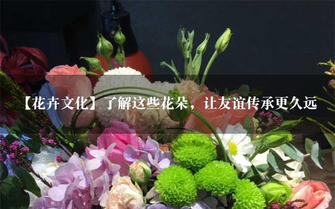 【花卉文化】了解这些花朵，让友谊传承更久远