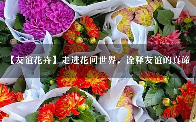 【友谊花卉】走进花间世界，诠释友谊的真谛