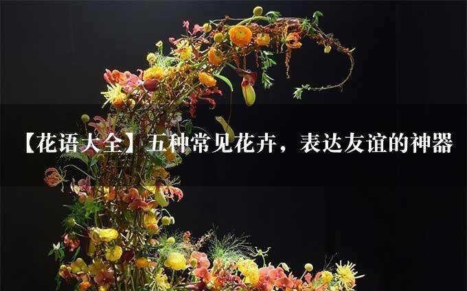 【花语大全】五种常见花卉，表达友谊的神器