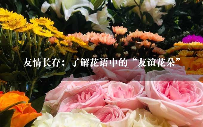 友情长存：了解花语中的“友谊花朵”