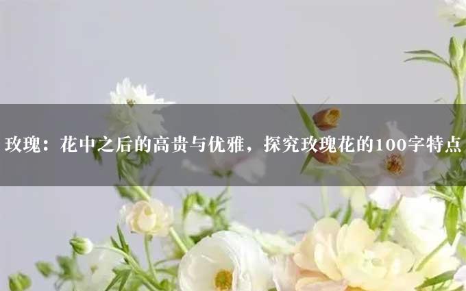 玫瑰：花中之后的高贵与优雅，探究玫瑰花的100字特点