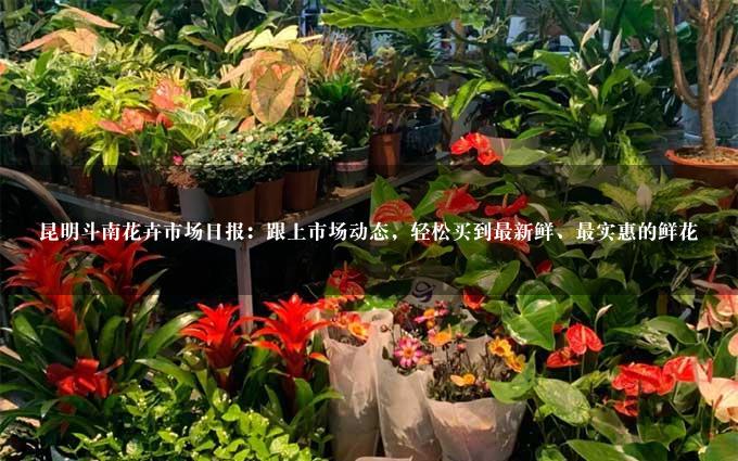 昆明斗南花卉市场日报：跟上市场动态，轻松买到最新鲜、最实惠的鲜花