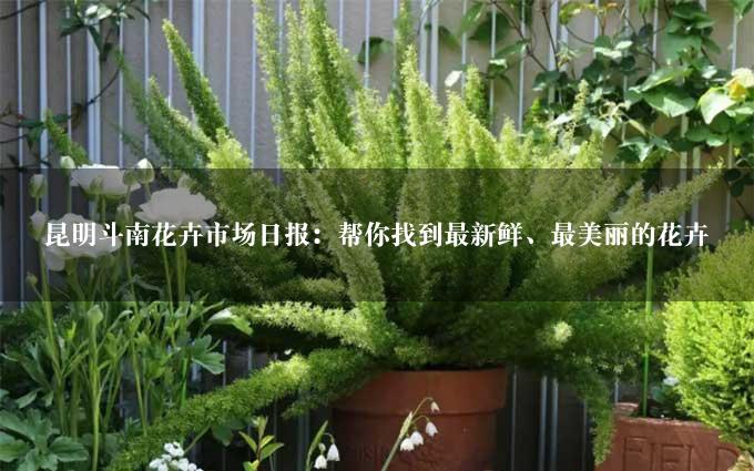 昆明斗南花卉市场日报：帮你找到最新鲜、最美丽的花卉