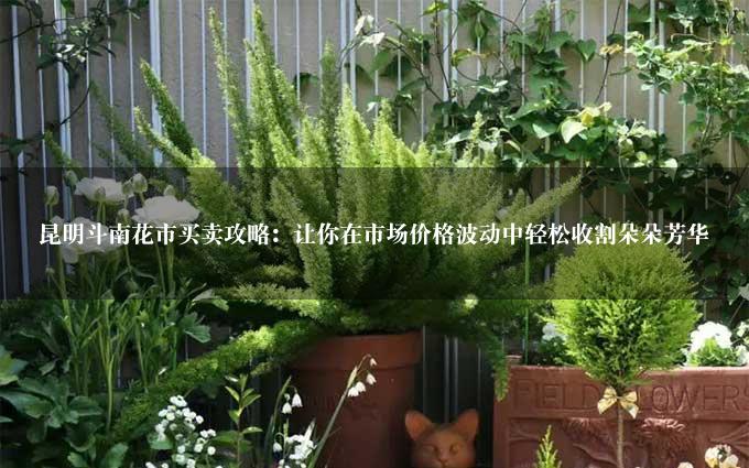 昆明斗南花市买卖攻略：让你在市场价格波动中轻松收割朵朵芳华