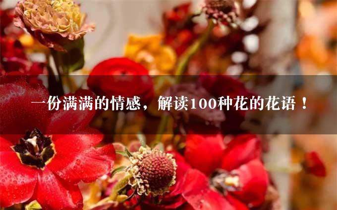 一份满满的情感，解读100种花的花语！