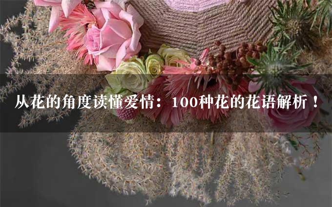 从花的角度读懂爱情：100种花的花语解析！