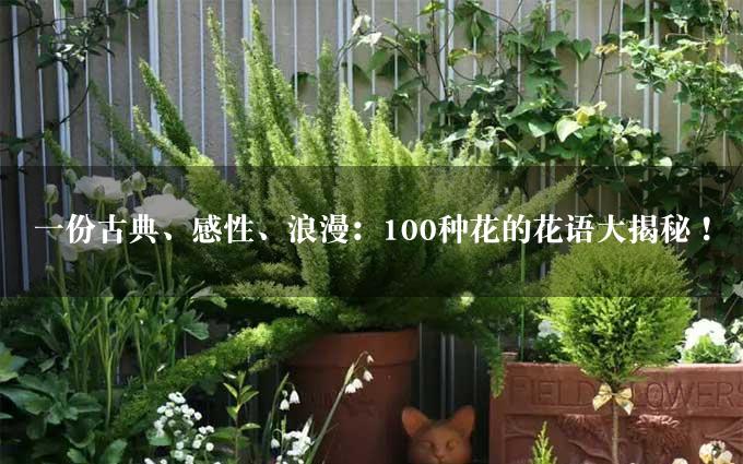 一份古典、感性、浪漫：100种花的花语大揭秘！