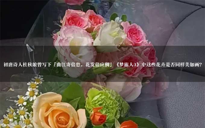 初唐诗人杜秋娘曾写下「曲江寄倍愁，花发倍应稠」《梦旅人3》中这些花卉是否同样美如画？