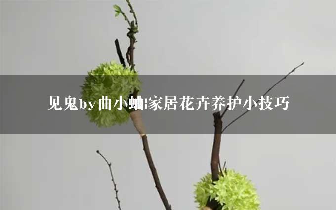 见鬼by曲小蛐|家居花卉养护小技巧