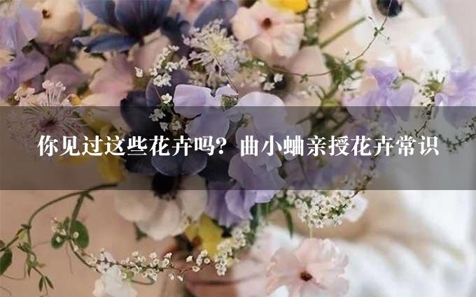 你见过这些花卉吗？曲小蛐亲授花卉常识