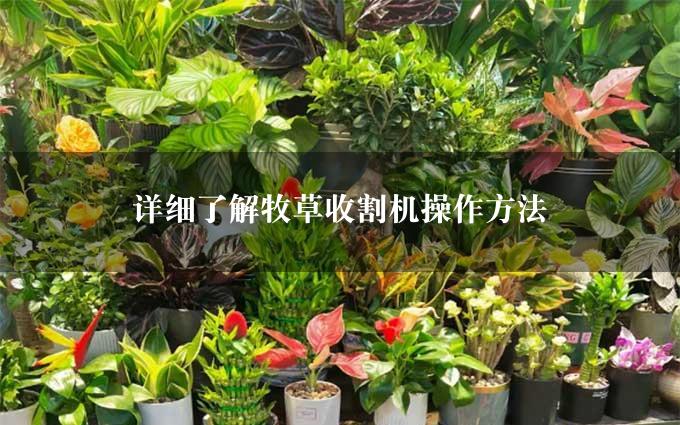 详细了解牧草收割机操作方法