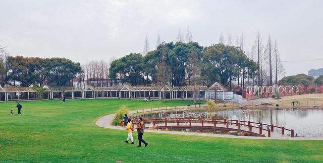 上海植物园开放户外园区(上海白玉兰)图2