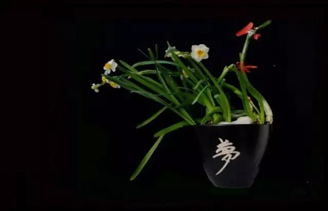中国的插花历史：花枝与花瓶如何比例协调？图3