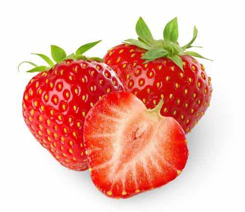 草莓最好在什么季节种植？
