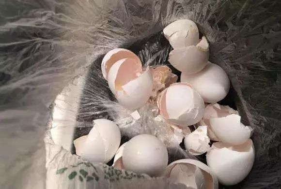 鸡蛋壳如何沤土？鸡蛋壳加醋怎么做？图2