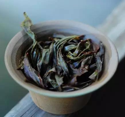 如何正确的利用茶叶渣和茶水培养绿植？图2