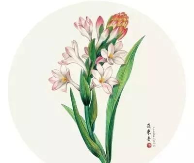 “大树压门，无女少男”，植物在风水中的作用你知道吗？