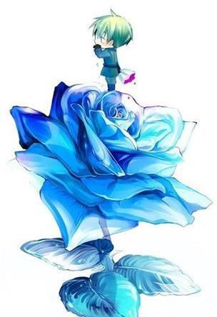 蓝色妖姬玫瑰花语图5