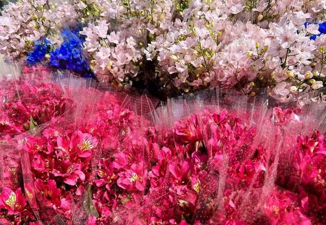 从田间到花瓶，疫情下的上海本地鲜花