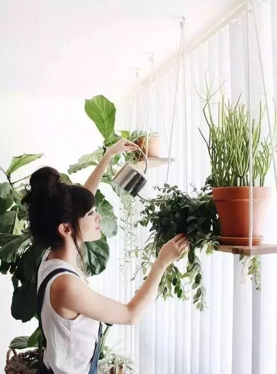 22种自制花肥方法，在家就能做，太简单了！