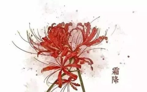 关于彼岸花的诗，分享九首彼岸花的诗句，喜爱者可收藏