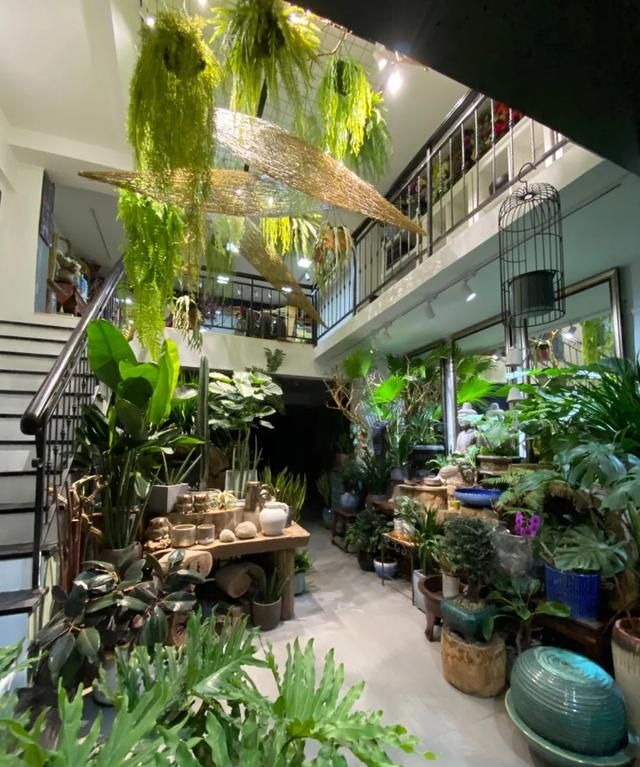 深圳这家老花店已经开了26年，佛系经营却玩转“复古”与“新潮”风