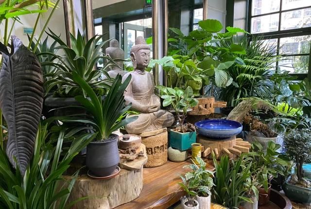 深圳这家老花店已经开了26年，佛系经营却玩转“复古”与“新潮”风