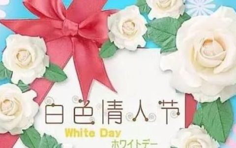 3月14日情人节的含义