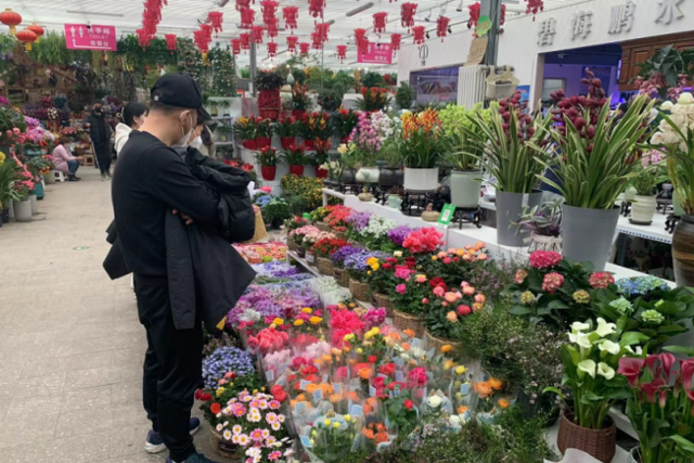 京城年宵花俏销迎新春，记者探访多个花卉市场