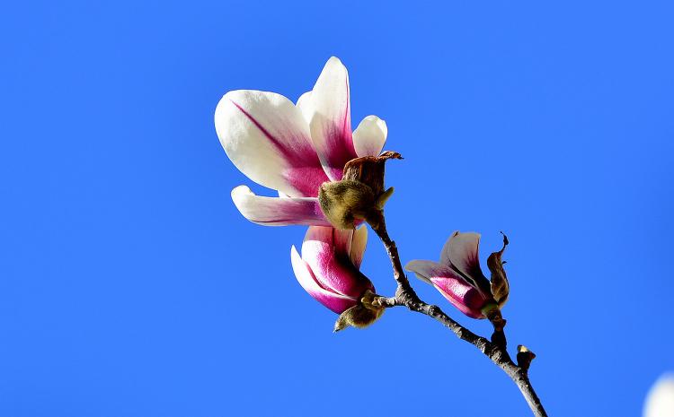 夏日消暑好去处，走进玉兰花园游泳馆