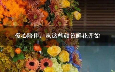 爱心陪伴，从这些颜色鲜花开始