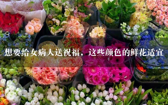 想要给女病人送祝福，这些颜色的鲜花适宜