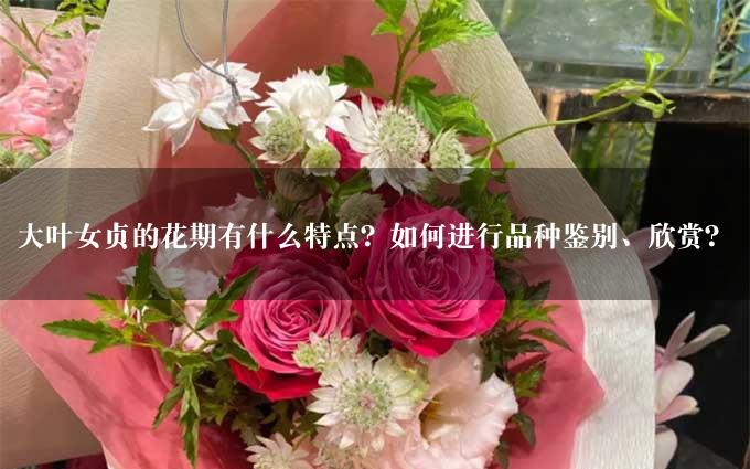 大叶女贞的花期有什么特点？如何进行品种鉴别、欣赏？