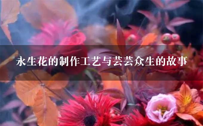 永生花的制作工艺与芸芸众生的故事