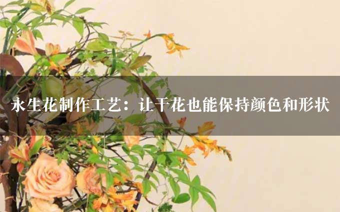 永生花制作工艺：让干花也能保持颜色和形状