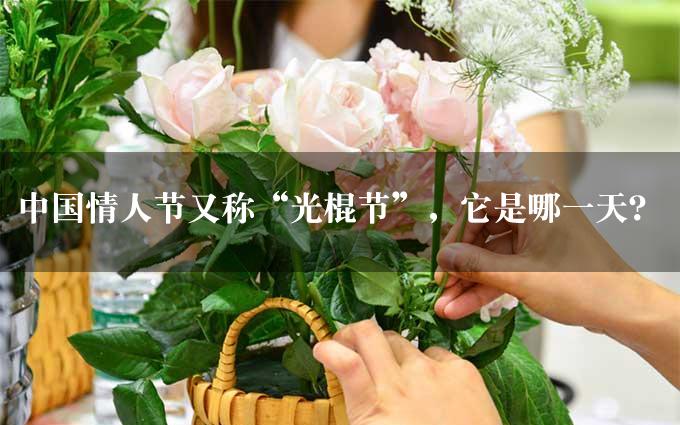 中国情人节又称“光棍节”，它是哪一天？