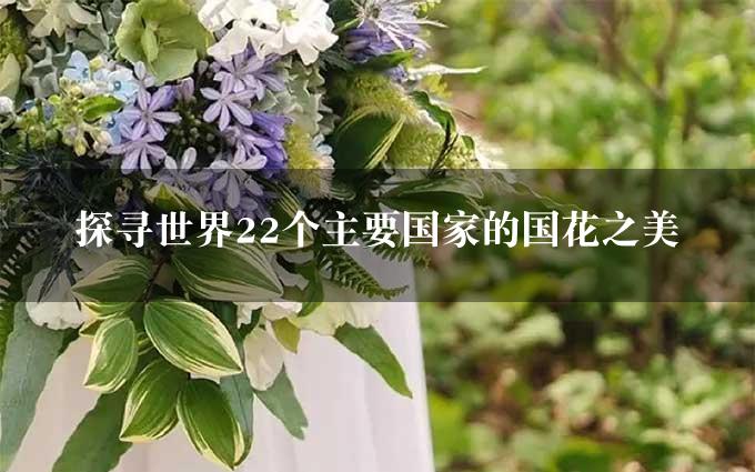 探寻世界22个主要国家的国花之美