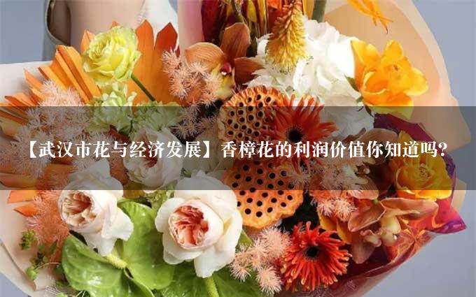 【武汉市花与经济发展】香樟花的利润价值你知道吗？